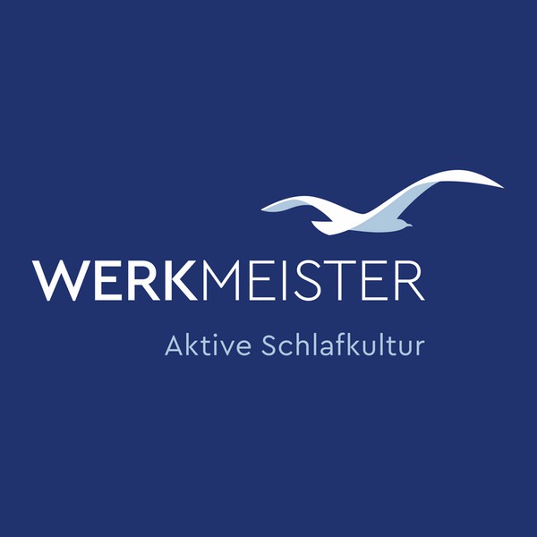 Werkmeister Set Drucklastverstärker (33 Stck.) für Quatrofedern
